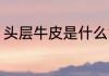 头层牛皮是什么意思 什么是头层牛皮