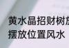 黄水晶招财树放在哪里 黄水晶发财树摆放位置风水