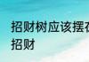 招财树应该摆在哪里 招财树如何摆放招财