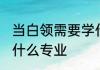 当白领需要学什么专业 白领需要选择什么专业