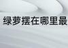 绿萝摆在哪里最招财 绿萝的风水摆放