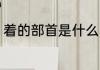 着的部首是什么 关于着的部首是什么