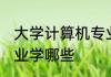 大学计算机专业学什么 大学计算机专业学哪些