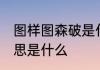 图样图森破是什么意思 图样图森破意思是什么