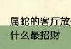 属蛇的客厅放什么招财 属蛇的客厅放什么最招财