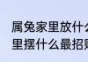 属兔家里放什么摆件招财 属兔的人家里摆什么最招财