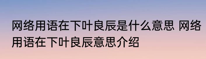网络用语在下叶良辰是什么意思 网络用语在下叶良辰意思介绍