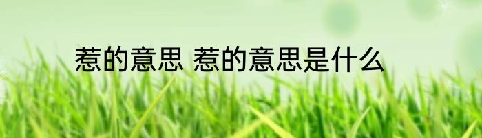 惹的意思 惹的意思是什么