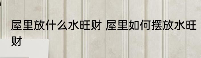 屋里放什么水旺财 屋里如何摆放水旺财