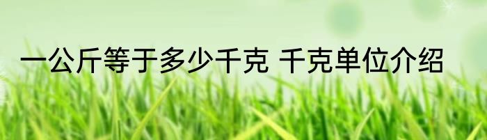 一公斤等于多少千克 千克单位介绍