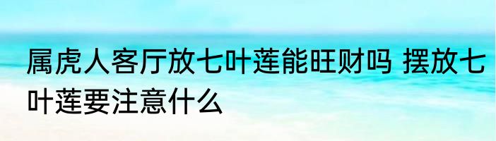 属虎人客厅放七叶莲能旺财吗 摆放七叶莲要注意什么