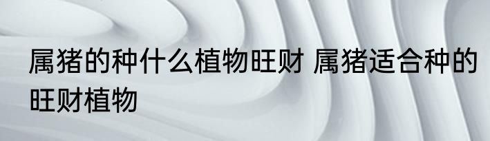 属猪的种什么植物旺财 属猪适合种的旺财植物