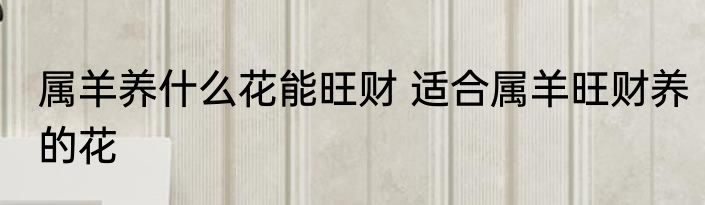 属羊养什么花能旺财 适合属羊旺财养的花