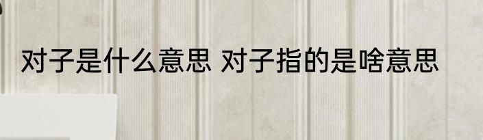 对子是什么意思 对子指的是啥意思