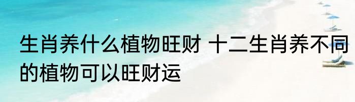 生肖养什么植物旺财 十二生肖养不同的植物可以旺财运