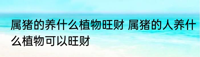 属猪的养什么植物旺财 属猪的人养什么植物可以旺财
