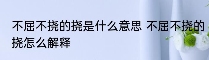不屈不挠的挠是什么意思 不屈不挠的挠怎么解释
