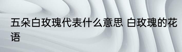 五朵白玫瑰代表什么意思 白玫瑰的花语