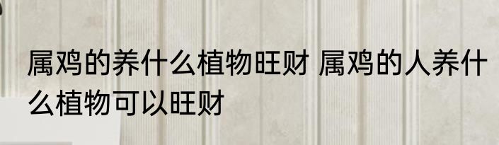 属鸡的养什么植物旺财 属鸡的人养什么植物可以旺财