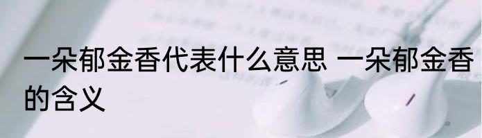 一朵郁金香代表什么意思 一朵郁金香的含义