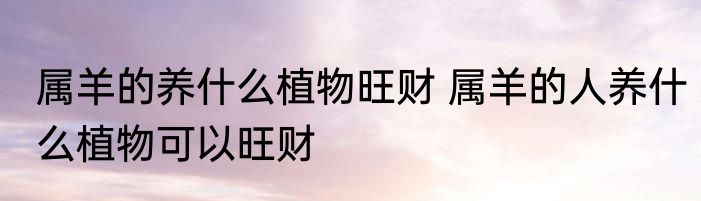 属羊的养什么植物旺财 属羊的人养什么植物可以旺财