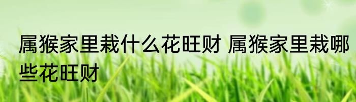 属猴家里栽什么花旺财 属猴家里栽哪些花旺财