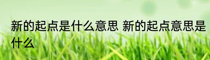 新的起点是什么意思 新的起点意思是什么