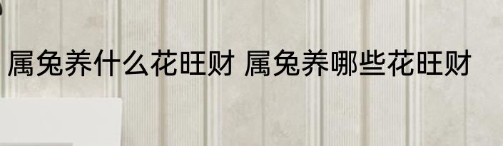 属兔养什么花旺财 属兔养哪些花旺财