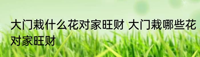 大门栽什么花对家旺财 大门栽哪些花对家旺财