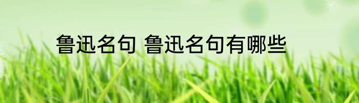 鲁迅名句 鲁迅名句有哪些