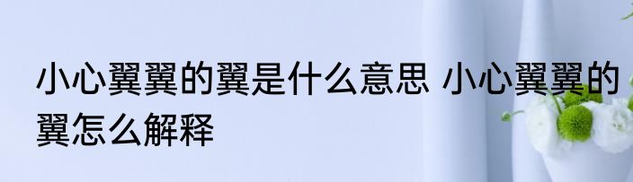 小心翼翼的翼是什么意思 小心翼翼的翼怎么解释