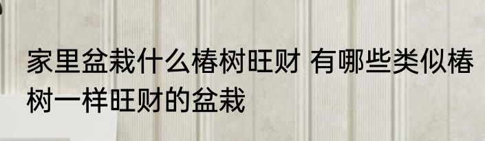 家里盆栽什么椿树旺财 有哪些类似椿树一样旺财的盆栽