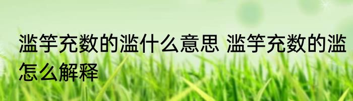 滥竽充数的滥什么意思 滥竽充数的滥怎么解释