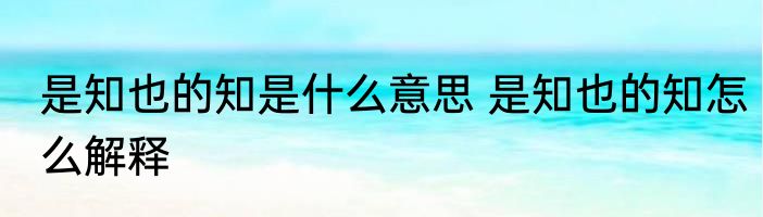 是知也的知是什么意思 是知也的知怎么解释