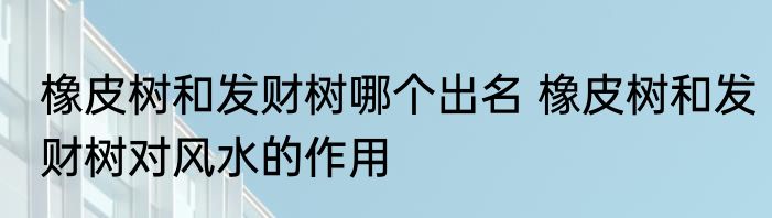 橡皮树和发财树哪个出名 橡皮树和发财树对风水的作用