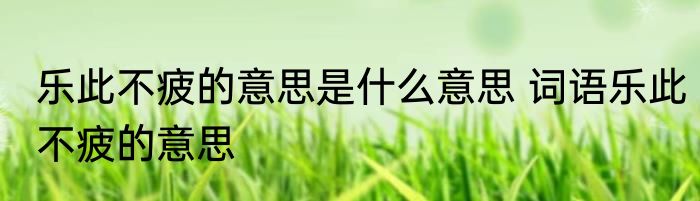 乐此不疲的意思是什么意思 词语乐此不疲的意思