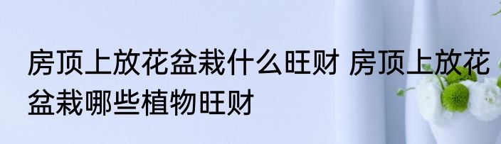 房顶上放花盆栽什么旺财 房顶上放花盆栽哪些植物旺财
