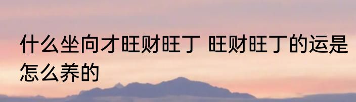 什么坐向才旺财旺丁 旺财旺丁的运是怎么养的