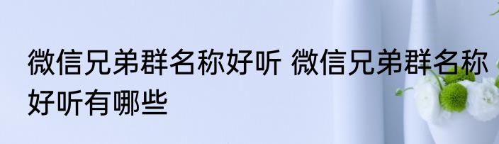 微信兄弟群名称好听 微信兄弟群名称好听有哪些
