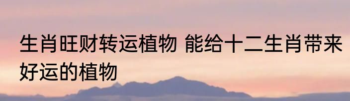 生肖旺财转运植物 能给十二生肖带来好运的植物