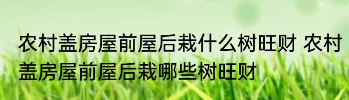 农村盖房屋前屋后栽什么树旺财 农村盖房屋前屋后栽哪些树旺财