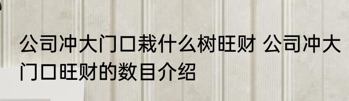 公司冲大门口栽什么树旺财 公司冲大门口旺财的数目介绍