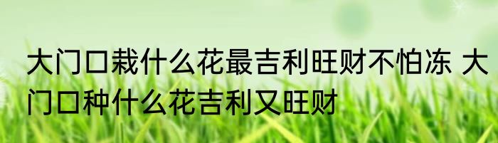 大门口栽什么花最吉利旺财不怕冻 大门口种什么花吉利又旺财