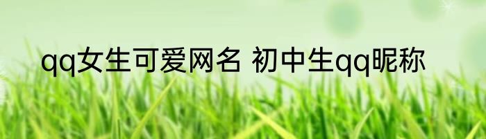 qq女生可爱网名 初中生qq昵称