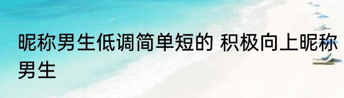 昵称男生低调简单短的 积极向上昵称男生
