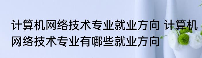 计算机网络技术专业就业方向 计算机网络技术专业有哪些就业方向