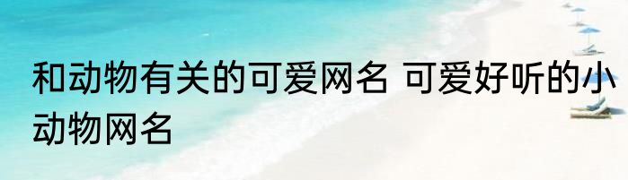 和动物有关的可爱网名 可爱好听的小动物网名