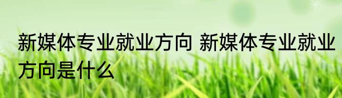 新媒体专业就业方向 新媒体专业就业方向是什么