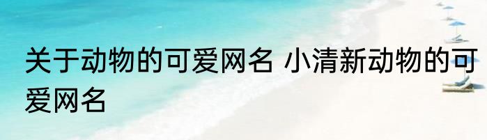 关于动物的可爱网名 小清新动物的可爱网名