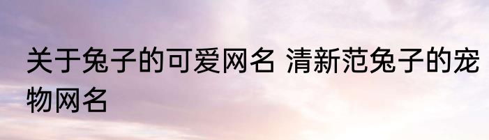 关于兔子的可爱网名 清新范兔子的宠物网名